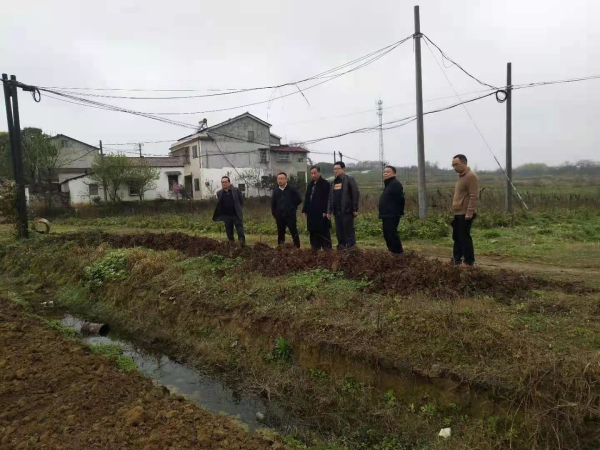 长丰县土地流转——农民增收的“金钥匙”