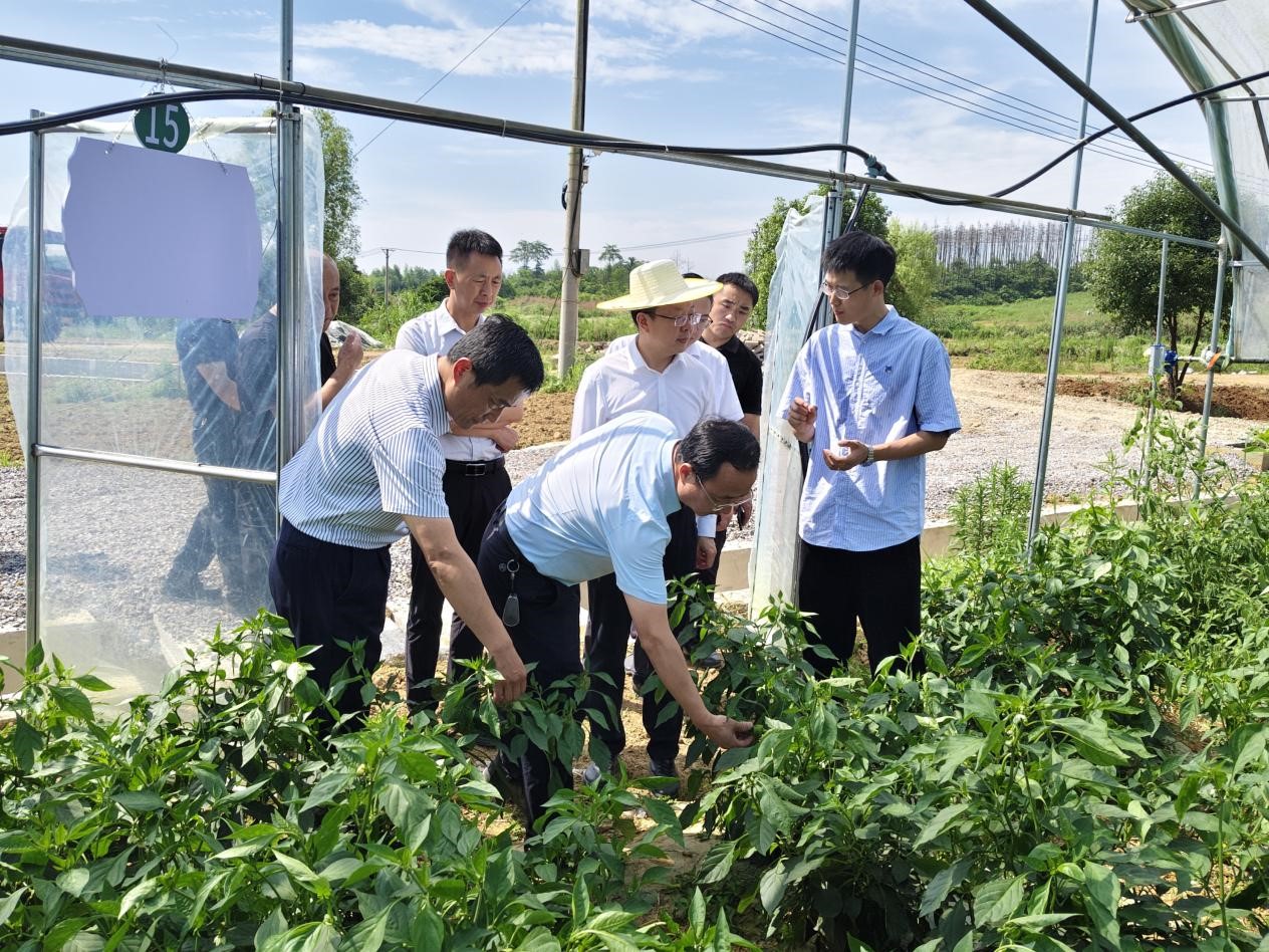 市长3.jpg